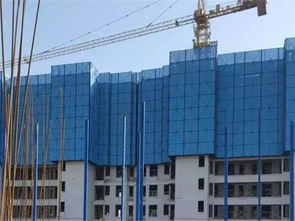 爬架網(wǎng)片 質(zhì)優(yōu)價廉 鍍鋅爬架網(wǎng)片廠